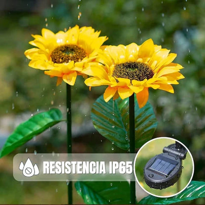 GardenGlow™ Farol de Girasol para Jardín UPSELL